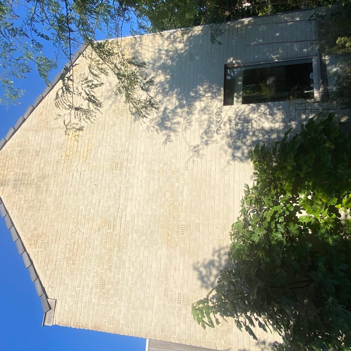 Img 0109